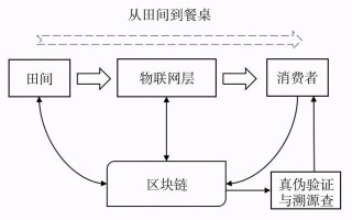 区块链与农业物流溯源