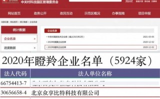 大学生互联网区块链项目是什么