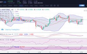 **柚子币市场动态与价格影响因素
-**阅读材料**
-区块链技术在柚子币中的应用
-全球加密货币市场趋势分析
-**作业**
-分析柚子币在过去一个月的价格波动，并探讨可能的影响因素。
-阅读并总结区块链技术在柚子币中的应用的关键点。

本节课