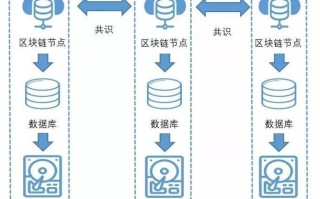 区块链内的数据