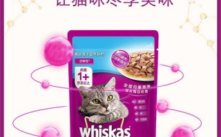 年年有鱼猫头像