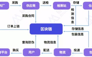 区块链运作所需要的基础数据