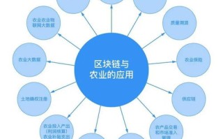 区块链技术和数据隐私保护