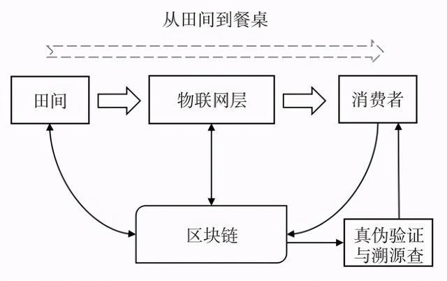 区块链与农业物流溯源-第1张图片-妍旭链视界