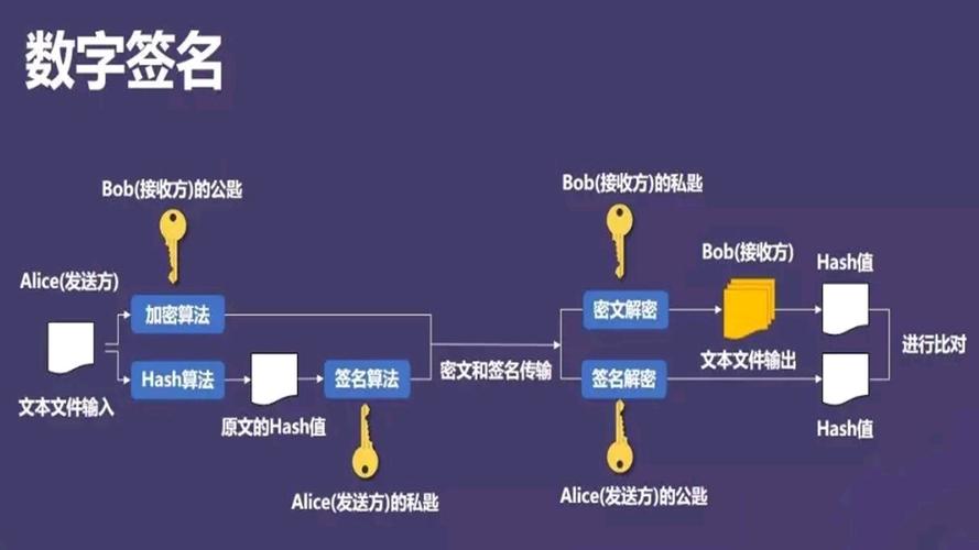 区块链编程语言-第1张图片-妍旭链视界