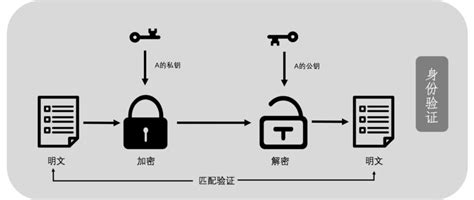 区块链的信任依赖于机构-第1张图片-妍旭链视界