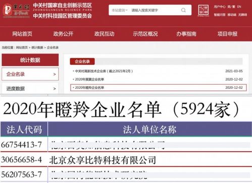 大学生互联网区块链项目是什么-第1张图片-妍旭链视界