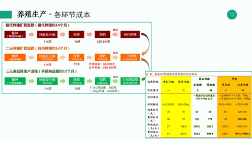 区块链养殖项目背景-第1张图片-妍旭链视界