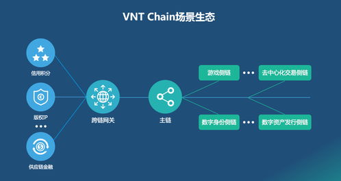 区块链技术应用于教育领域构建了-第1张图片-妍旭链视界