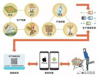 沃尔玛产业链整合-第1张图片-妍旭链视界