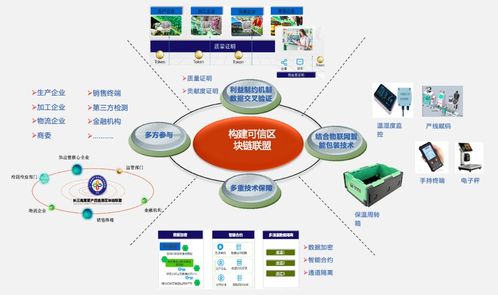 区块链对实体经济有什么作用-第1张图片-妍旭链视界