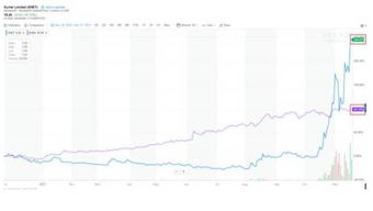 1.影响迅雷币价格的因素-第1张图片-妍旭链视界